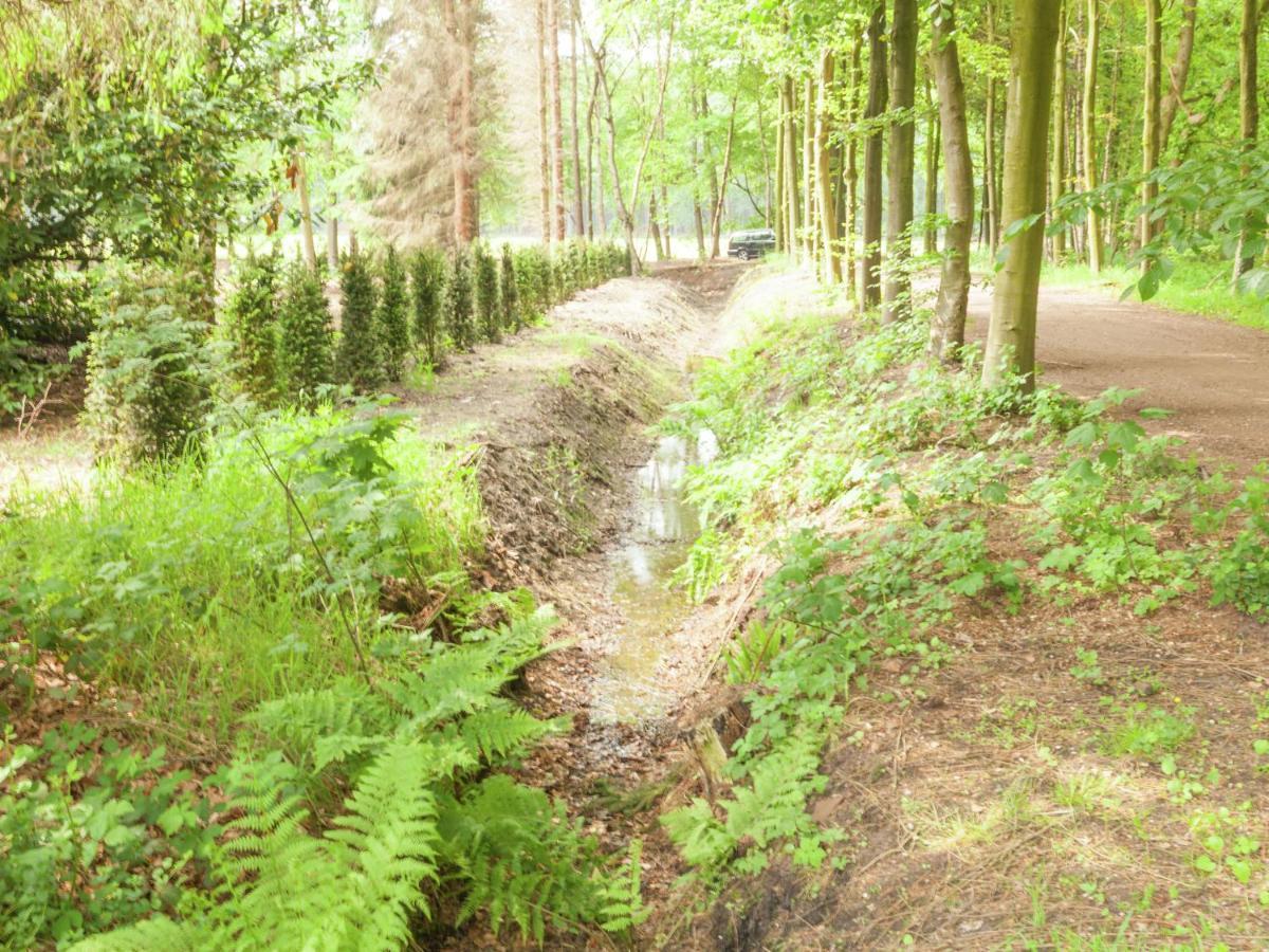 Cozy Holiday Home Near Forest In Baarn Ngoại thất bức ảnh